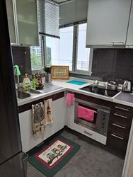 The Levelz (D10), Condominium #569698091